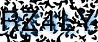 grafischer Sicherheitscode